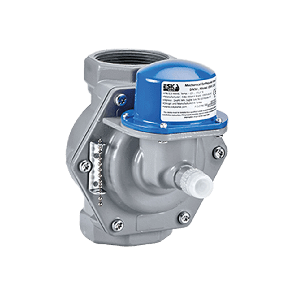 1" ESKA MEKANİK DEPREM CİHAZI